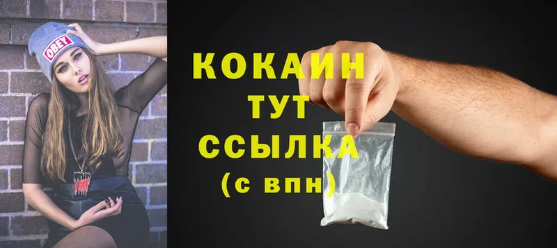 Cocaine FishScale  Ковылкино 