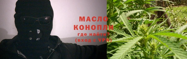 крисы Осинники