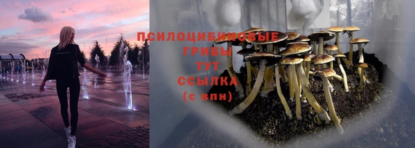 крисы Осинники