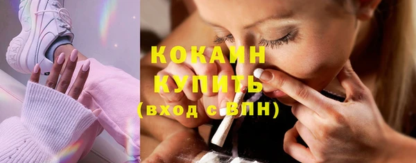 ПСИЛОЦИБИНОВЫЕ ГРИБЫ Пересвет