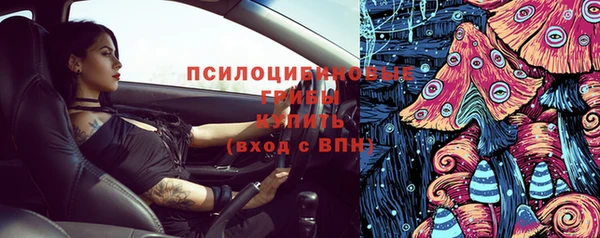 крисы Осинники