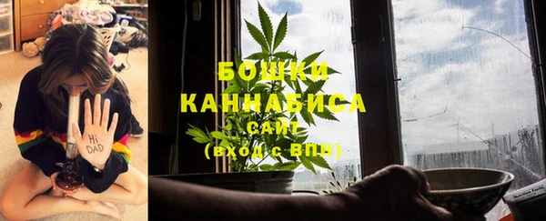 дмт Осташков