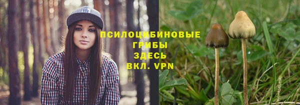 дмт Осташков