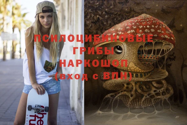дмт Осташков
