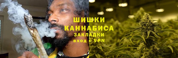 крисы Осинники
